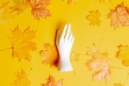 mannequin hand and maple leaves around on yellow background. Top viewの写真素材