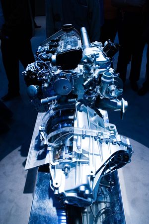 Unleashed Powerの写真素材