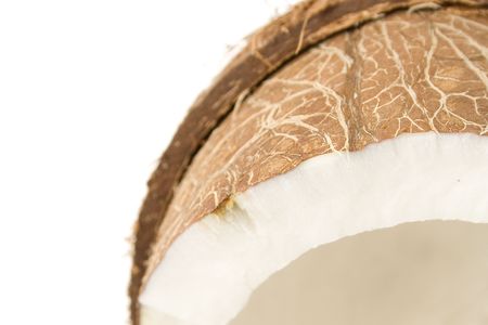 Closeup of a coconut isolated on white backgroundの写真素材