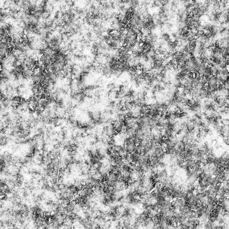 Bacteria and various microorganisms under strong microscope magnificationの写真素材