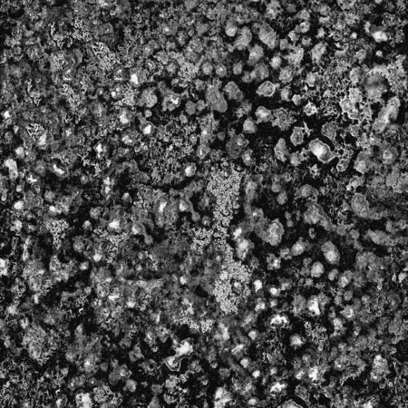 Dark spots of Viruses causing various diseases under strong microscope magnificationの写真素材