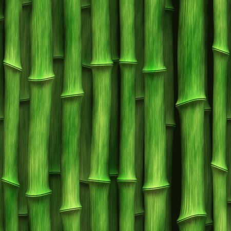 Green bamboo building material grows tightly vertically upwardsの写真素材