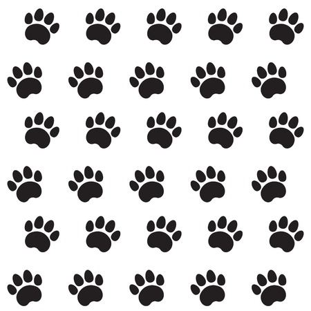 Traces of Cat Seamless Isolated on Whiteの写真素材