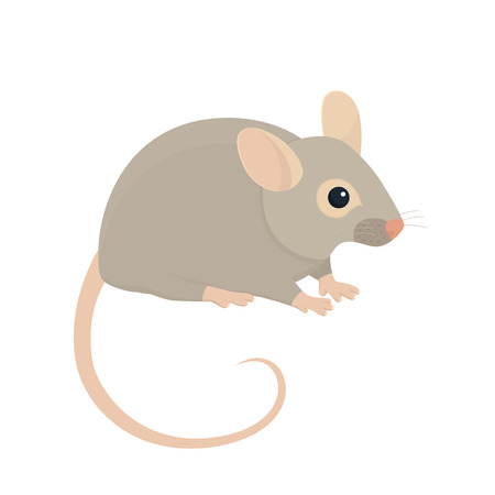 House Mouse - Illustration Isolated on White Backgroundのイラスト素材