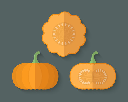 A set of Vegetables in a Flat Style with an Oblique Blend Shadow - Pumpkinのイラスト素材