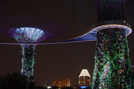 Singapore Gardens Bridgeのeditorial素材