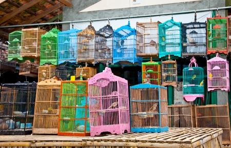 Litle birds in the cage. Java, Indonesia. Freedom concept. の写真素材