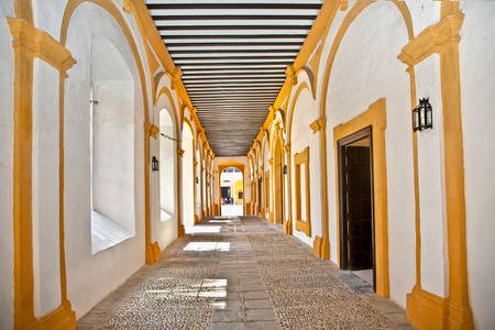 Passage  in the Royal Alcazars of Seville, Andalusia, Spain.のeditorial素材