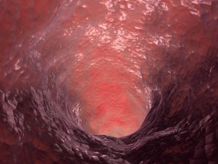 Blood artery  View inside