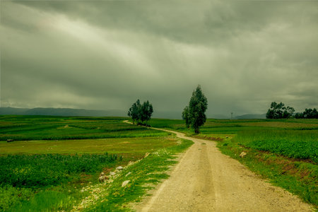 Rural landscape with road and cloudy sky, Georgia. Toned.の写真素材