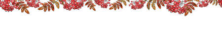 Thanksgiving seamless frame design. Watercolored hand drawn illustration. Template for advertising, card, poster. Horizonal banner. Rowanberry branches and leaves and harvest elementsの写真素材