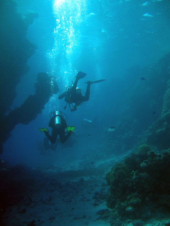 Diving off the coast of Marsala Alamの写真素材
