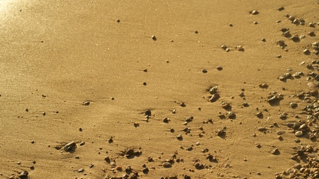 The beachの写真素材