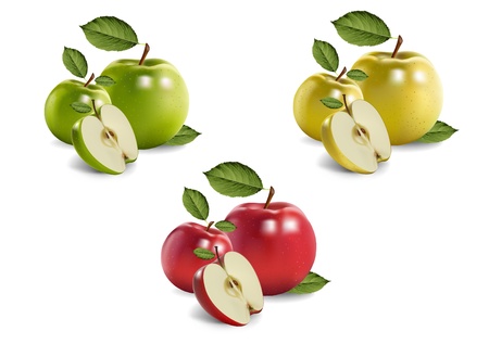 apples. realistic vector illustrationのイラスト素材