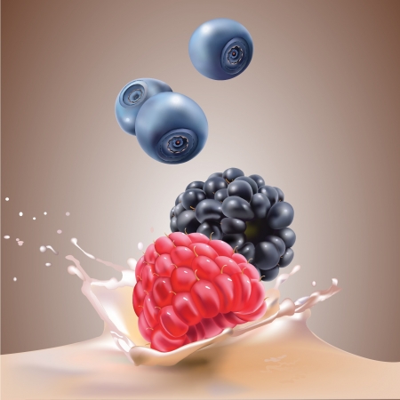 milk, blackberries, blueberries and raspberries  realistic vector illustrationのイラスト素材