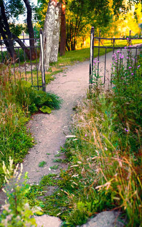 Overgrown with grass and flowers, the entrance to the sunny coastal park through the side old metal...