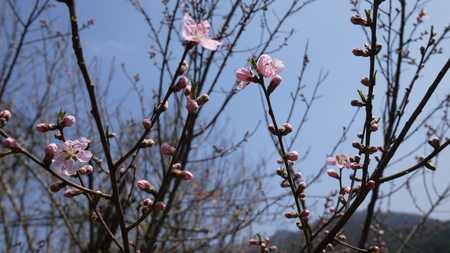 It is a picture of nature scenery of Korea.の写真素材