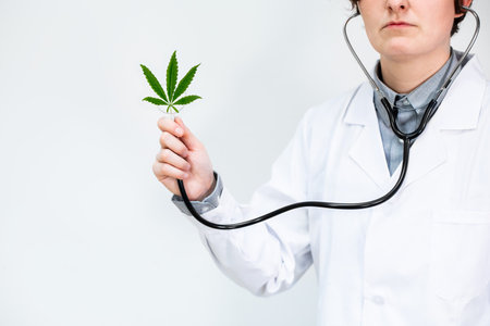 CBD Hemp - Doctor holding a stethoscope with medical marijuana including cannabis leaf with white background. Cannabis as an alternative medicine. legal.の写真素材