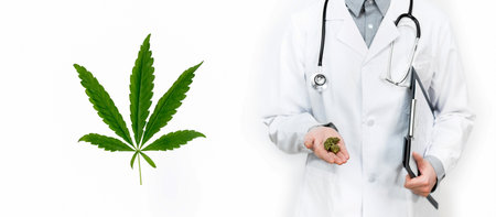 cbd - doctor with hemp leaf, Doctor holds medical marijuhana in hand and offer to patient medical cannabis, legal light drugs prescribe, alternative remedy or medication, medicine conceptの写真素材