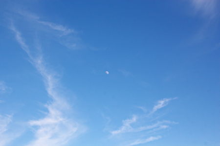 White clouds of various shapes against the blue sky and the sun above the surface of the ocean.の写真素材