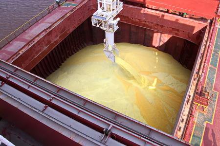 Transhipment terminal for loading bulk cargo of chemical sulphur to sea bulk carriers using a shore...