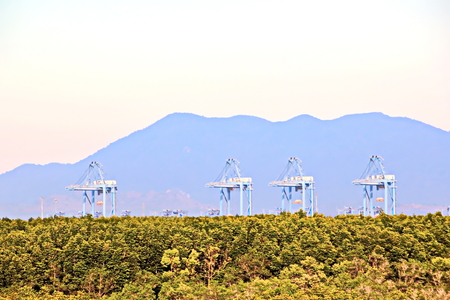 Container Terminal and vessels underway. Saigon Port, Vietnam. View of the terminal and cranes at sunrise.の写真素材