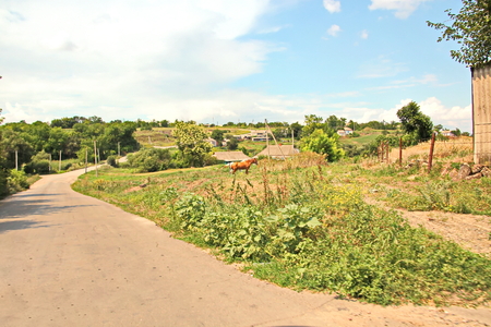 Landscape views of nature, fields, villages, Ukraine. View from the car window when driving.の写真素材