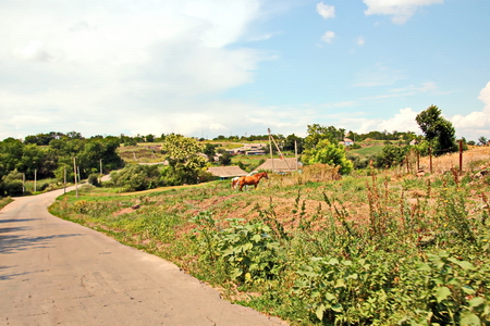 Landscape views of nature, fields, villages, Ukraine. View from the car window when driving.の写真素材