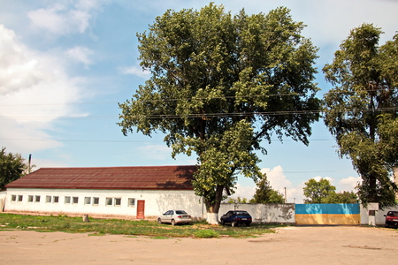 Landscape views of nature, fields, villages, Ukraine. View from the car window when driving.の写真素材