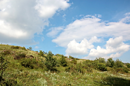 Wild nature, plants, flowers on the banks of the river. Ukraine, the Southern Bug Riverの写真素材