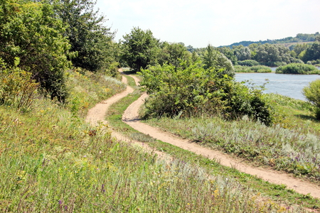 Wild nature, plants, flowers on the banks of the river. Ukraine, the Southern Bug Riverの写真素材