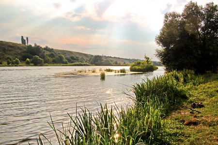 Wild nature, plants, flowers on the banks of the river. Ukraine, the Southern Bug Riverの写真素材