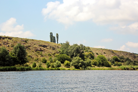 Wild nature, plants, flowers on the banks of the river. Ukraine, the Southern Bug Riverの写真素材