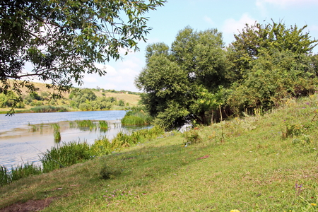 Wild nature, plants, flowers on the banks of the river. Ukraine, the Southern Bug Riverの写真素材