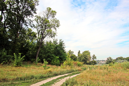 Wild nature, plants, flowers on the banks of the river. Ukraine, the Southern Bug Riverの写真素材