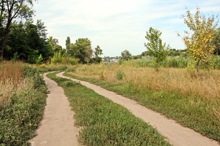 Wild nature, plants, flowers on the banks of the river. Ukraine, the Southern Bug Riverの写真素材