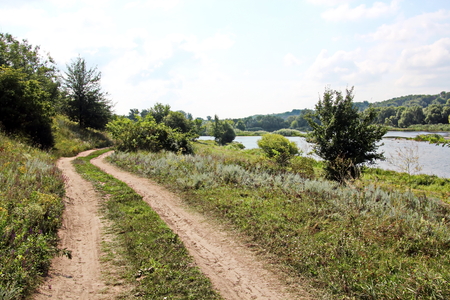 Wild nature, plants, flowers on the banks of the river. Ukraine, the Southern Bug Riverの写真素材