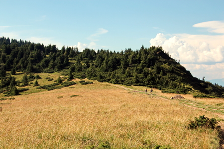 Landscape view of the Carpathian Mountains, Ukraine.の写真素材