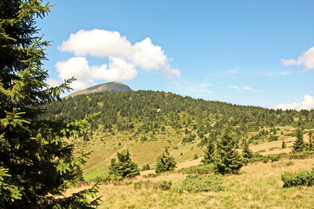 Landscape view of the Carpathian Mountains, Ukraine.の写真素材