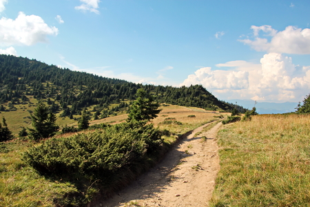Landscape view of the Carpathian Mountains, Ukraine.の写真素材