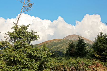 Landscape view of the Carpathian Mountains, Ukraine.の写真素材