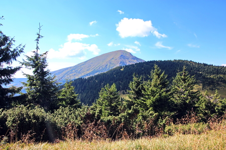 Landscape view of the Carpathian Mountains, Ukraine.の写真素材