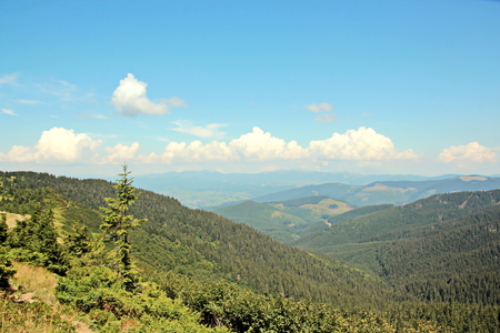 Landscape view of the Carpathian Mountains, Ukraine.の写真素材