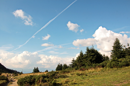Landscape view of the Carpathian Mountains, Ukraine.の写真素材