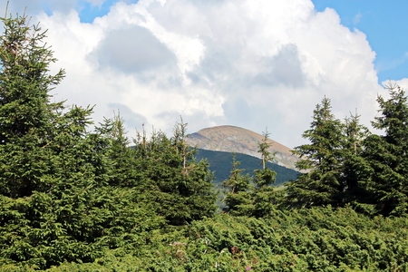 Landscape view of the Carpathian Mountains, Ukraine.の写真素材