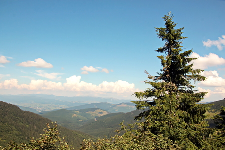 Landscape view of the Carpathian Mountains, Ukraine.の写真素材