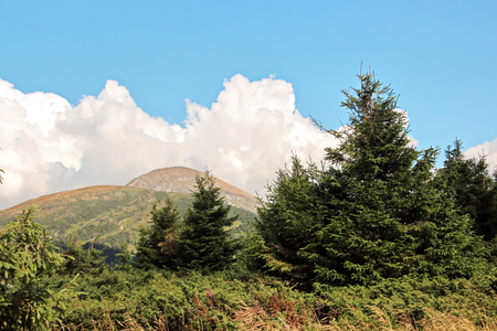 Landscape view of the Carpathian Mountains, Ukraine.の写真素材