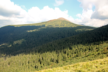 Landscape view of the Carpathian Mountains, Ukraine.の写真素材