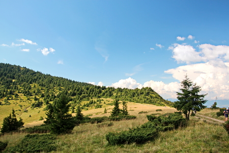 Landscape view of the Carpathian Mountains, Ukraine.の写真素材