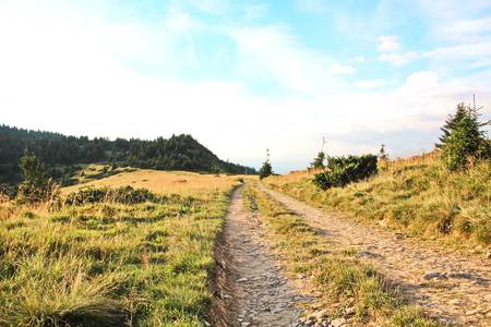 Landscape view of the Carpathian Mountains, Ukraine.の写真素材
